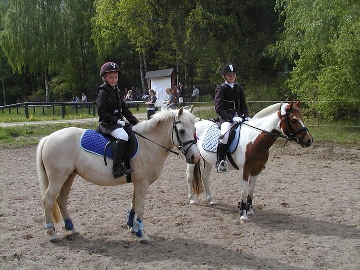 Birgittelyst Rideklub 23.05.2010 billede 13