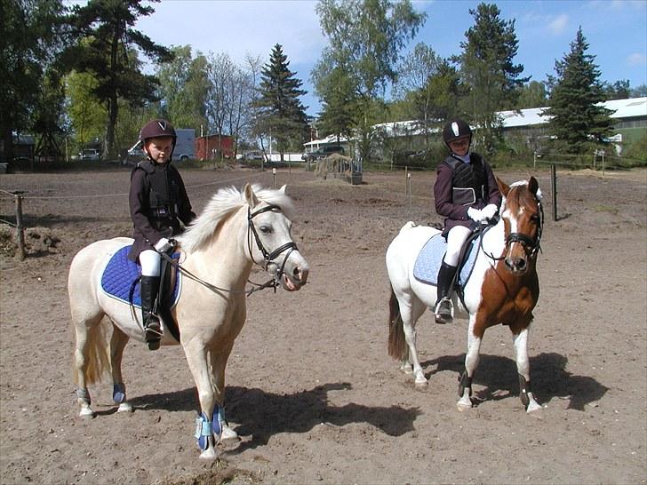 Birgittelyst Rideklub 23.05.2010 billede 11