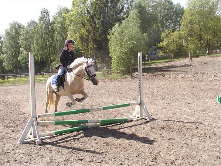 Birgittelyst Rideklub 23.05.2010 billede 10