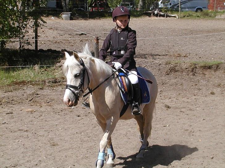 Birgittelyst Rideklub 23.05.2010 billede 8