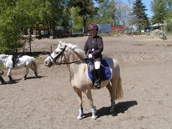 Birgittelyst Rideklub 23.05.2010 billede 7