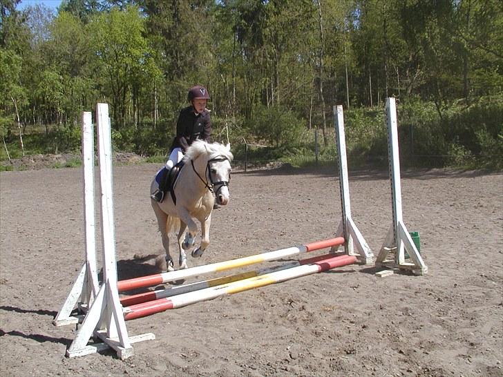 Birgittelyst Rideklub 23.05.2010 billede 6