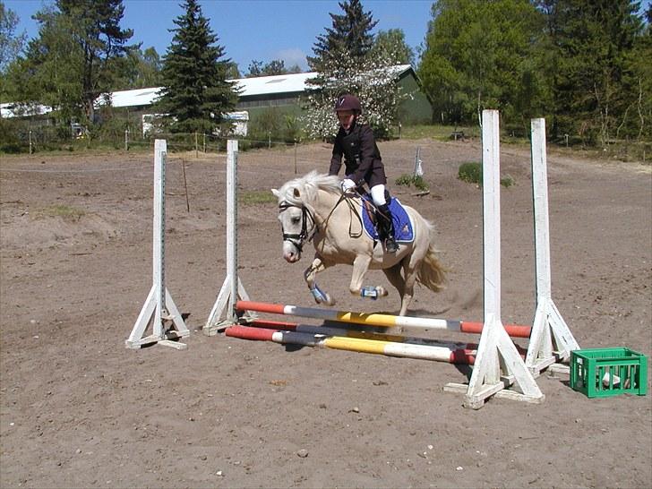 Birgittelyst Rideklub 23.05.2010 billede 5