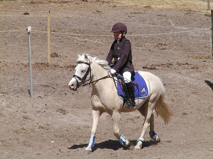 Birgittelyst Rideklub 23.05.2010 billede 4