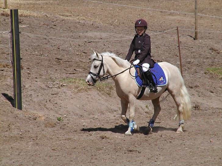 Birgittelyst Rideklub 23.05.2010 billede 3