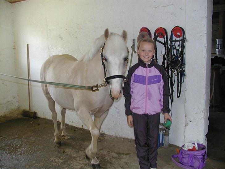 Birgittelyst Rideklub 23.05.2010 billede 1