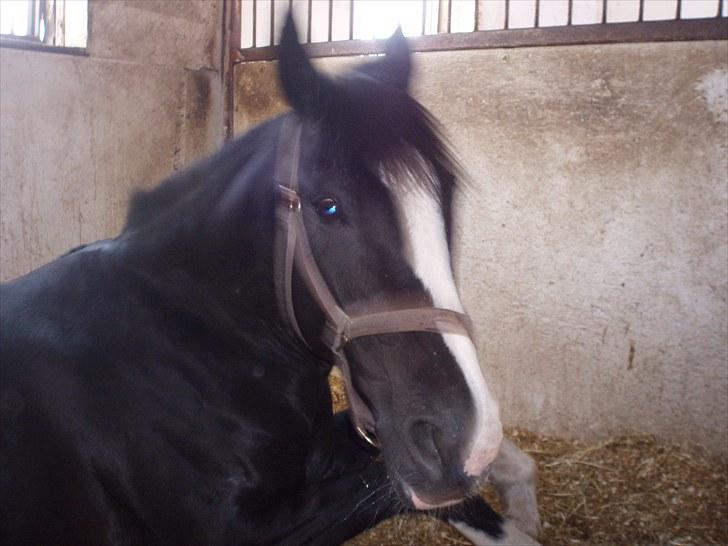 Mærkelige billeder af prinsessen :D billede 1