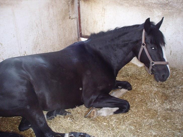 Mærkelige billeder af prinsessen :D billede 2