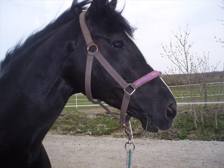 Mærkelige billeder af prinsessen :D billede 3