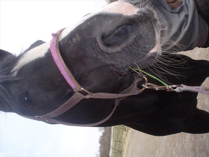Mærkelige billeder af prinsessen :D billede 4