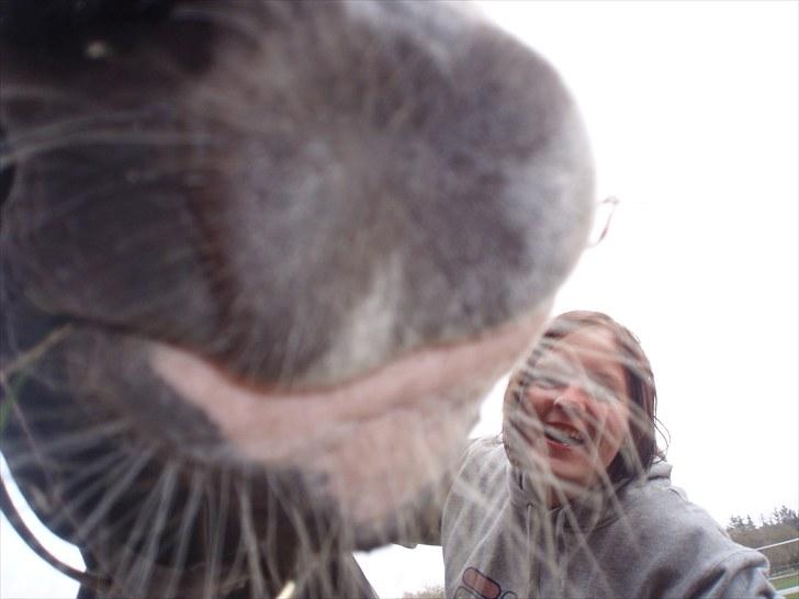 Mærkelige billeder af prinsessen :D billede 5