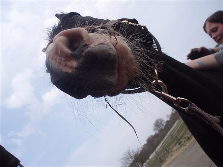 Mærkelige billeder af prinsessen :D billede 6