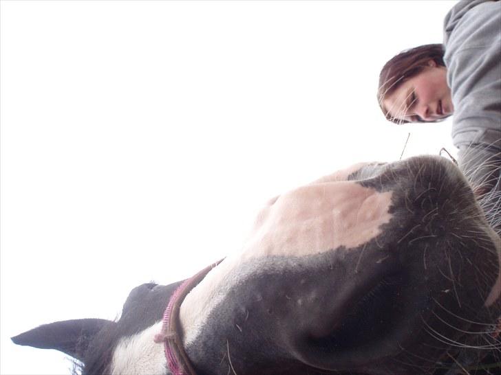 Mærkelige billeder af prinsessen :D billede 7