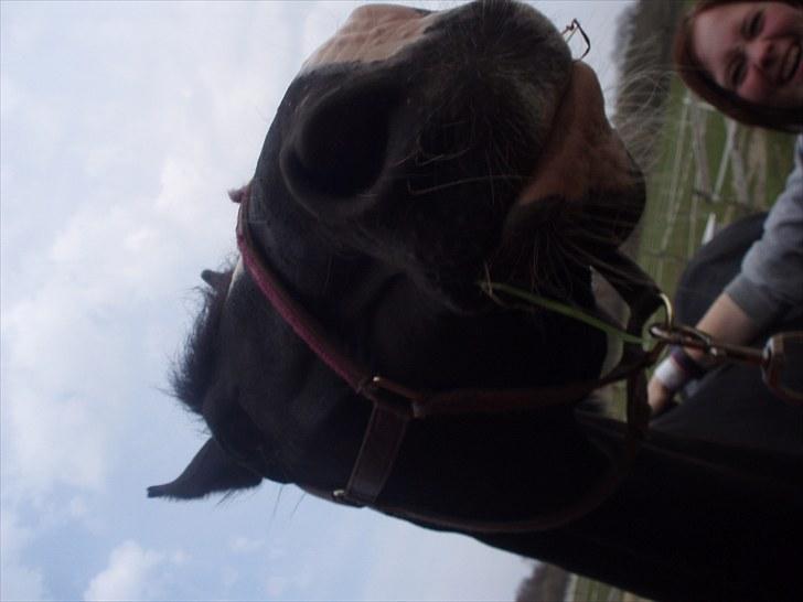 Mærkelige billeder af prinsessen :D billede 8