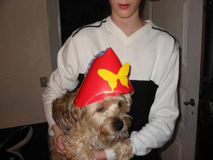 {{currentPhoto.altText}} billede {{currentPhoto.number}}