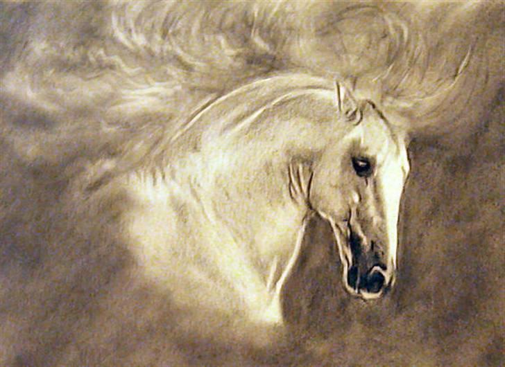 Tegninger, heste og et par hunde - Farveblyant og kul. billede 15