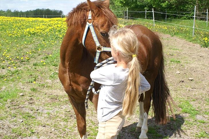 Træning på basse;-D - Nu har du bare at have noget til mig! billede 3