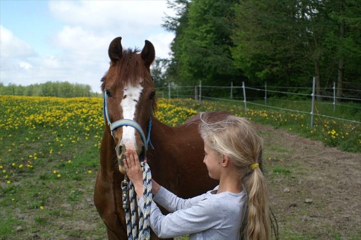 Træning på basse;-D - Jeg elsker bare at være bilede model :) billede 4