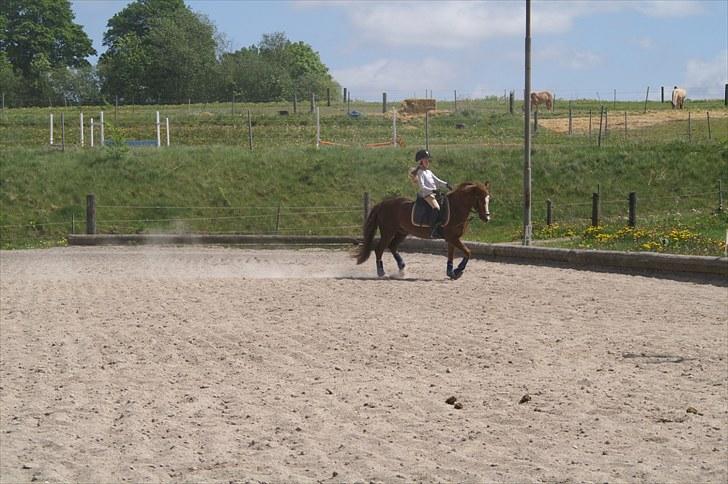 Træning på basse;-D billede 5