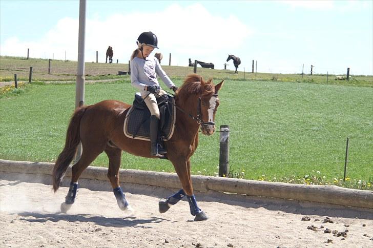 Træning på basse;-D billede 6