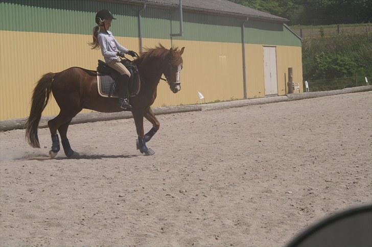 Træning på basse;-D - Farvel skriv gerne en kommentar!!!! billede 7