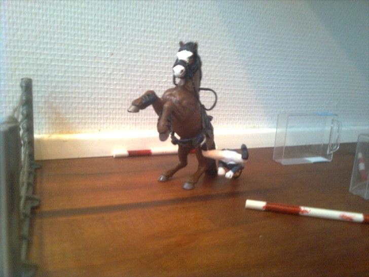 Spring-stævne på stutteri Blue-Horse (shleich) billede 3