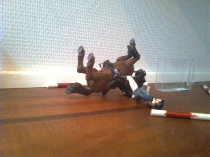 Spring-stævne på stutteri Blue-Horse (shleich) billede 4