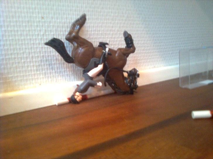 Spring-stævne på stutteri Blue-Horse (shleich) billede 5