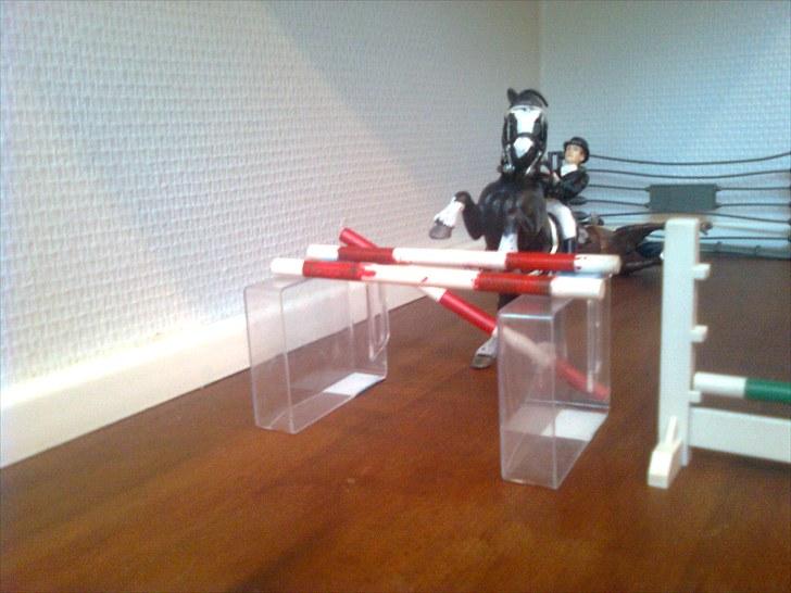 Spring-stævne på stutteri Blue-Horse (shleich) billede 7