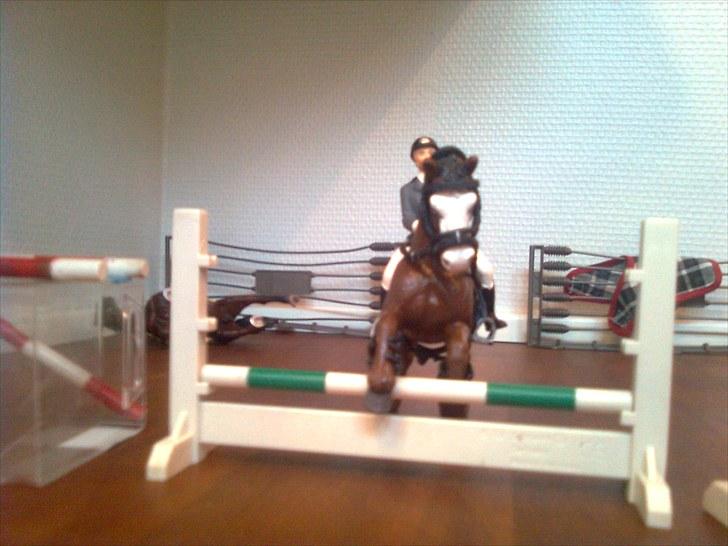 Spring-stævne på stutteri Blue-Horse (shleich) billede 8