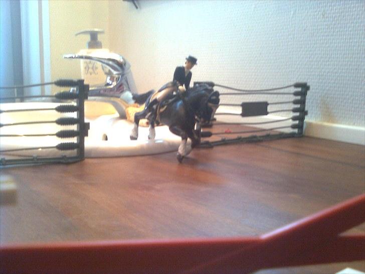 Spring-stævne på stutteri Blue-Horse (shleich) billede 9