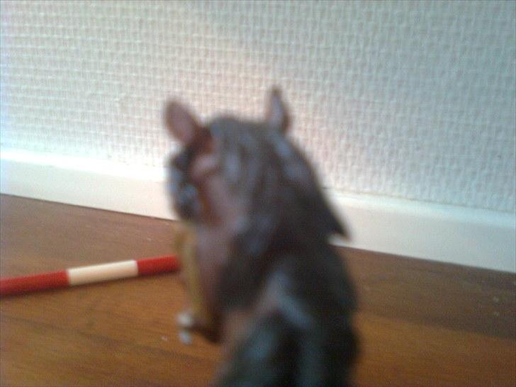 Spring-stævne på stutteri Blue-Horse (shleich) billede 10