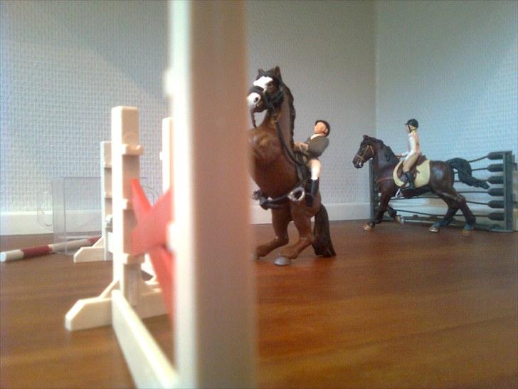 Spring-stævne på stutteri Blue-Horse (shleich) billede 11