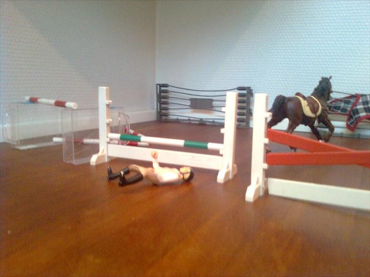 Spring-stævne på stutteri Blue-Horse (shleich) billede 13