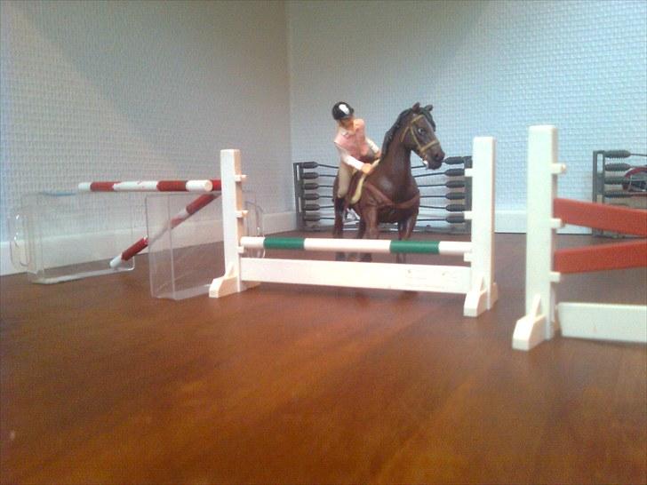 Spring-stævne på stutteri Blue-Horse (shleich) billede 15