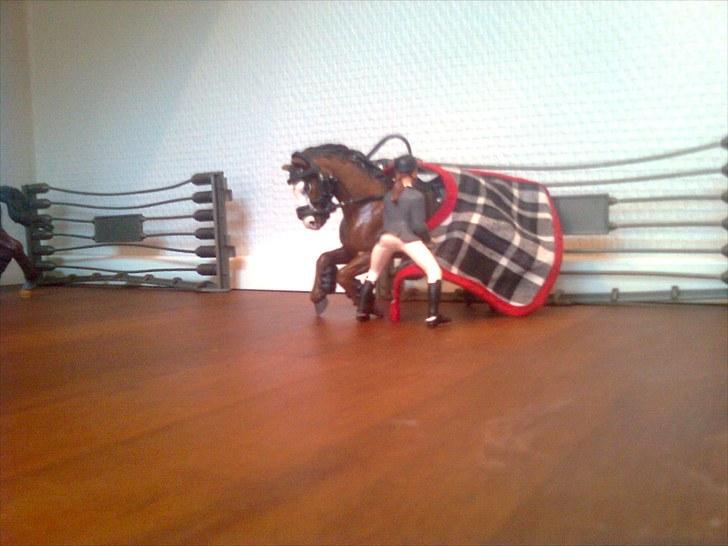 Spring-stævne på stutteri Blue-Horse (shleich) billede 18