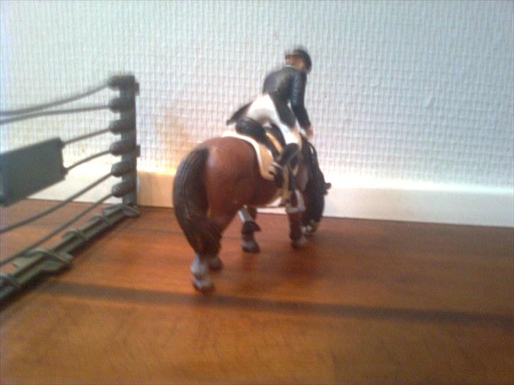 Spring-stævne på stutteri Blue-Horse (shleich) billede 19