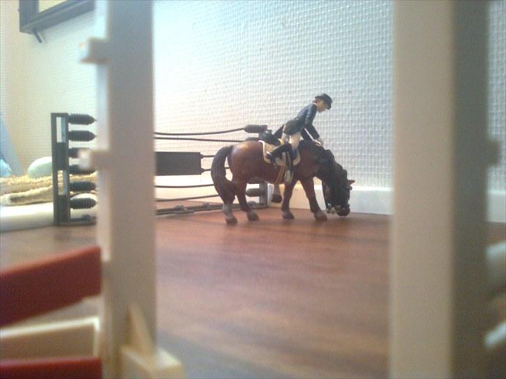 Spring-stævne på stutteri Blue-Horse (shleich) billede 20