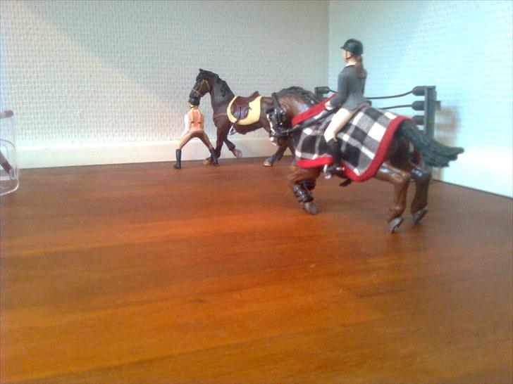 Spring-stævne på stutteri Blue-Horse (shleich) billede 21