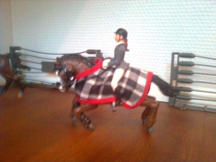 Spring-stævne på stutteri Blue-Horse (shleich) billede 22