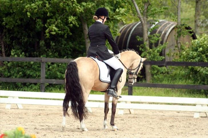 Rideklubben Falken d. 29.05.2010 - X-FAKTOR CUP KVALIFIKATION billede 1