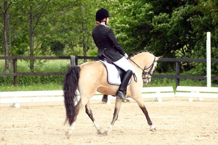 Rideklubben Falken d. 29.05.2010 - X-FAKTOR CUP KVALIFIKATION billede 2