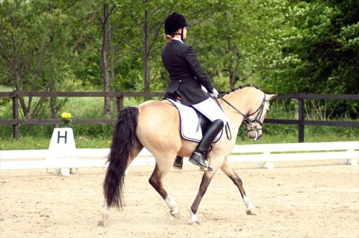 Rideklubben Falken d. 29.05.2010 - X-FAKTOR CUP KVALIFIKATION billede 3