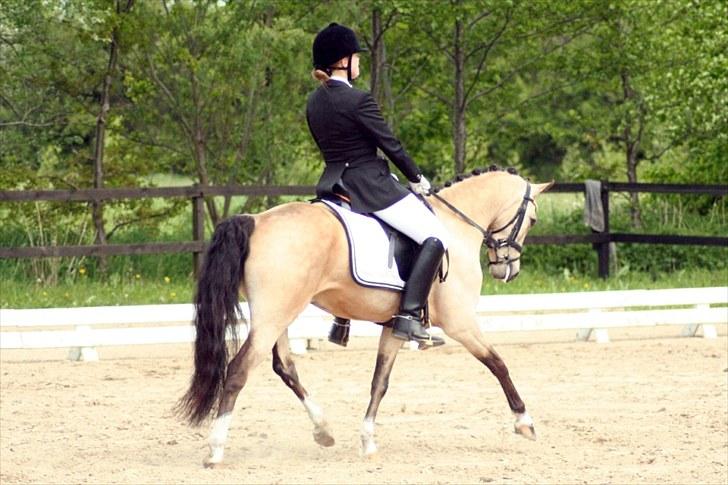 Rideklubben Falken d. 29.05.2010 - X-FAKTOR CUP KVALIFIKATION billede 4