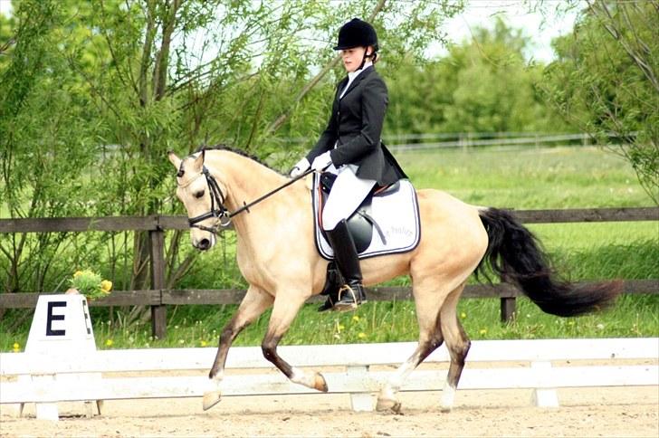 Rideklubben Falken d. 29.05.2010 - X-FAKTOR CUP KVALIFIKATION billede 6