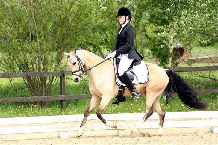 Rideklubben Falken d. 29.05.2010 - X-FAKTOR CUP KVALIFIKATION billede 7