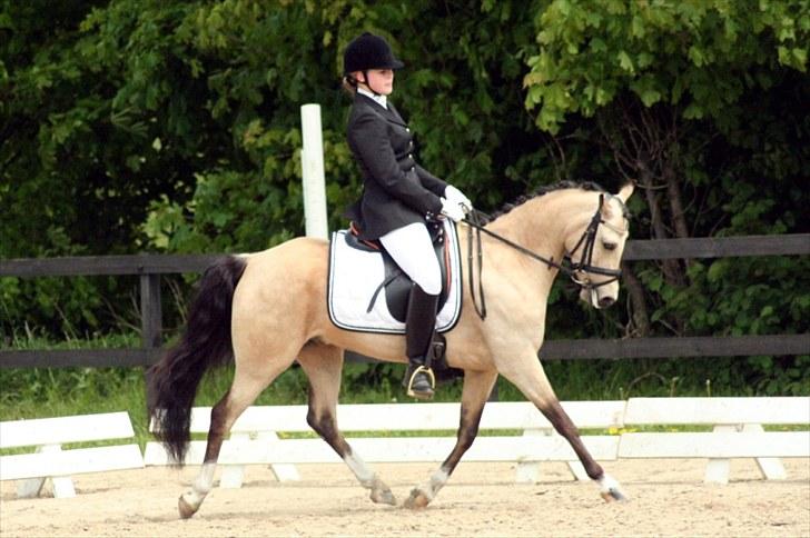 Rideklubben Falken d. 29.05.2010 - X-FAKTOR CUP KVALIFIKATION billede 8