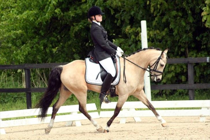 Rideklubben Falken d. 29.05.2010 - X-FAKTOR CUP KVALIFIKATION billede 9