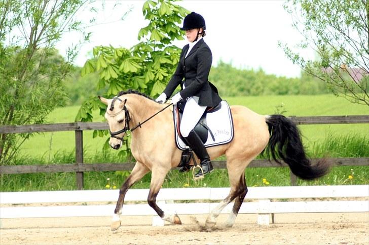 Rideklubben Falken d. 29.05.2010 - X-FAKTOR CUP KVALIFIKATION billede 10