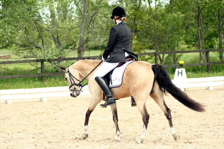 Rideklubben Falken d. 29.05.2010 - X-FAKTOR CUP KVALIFIKATION billede 11